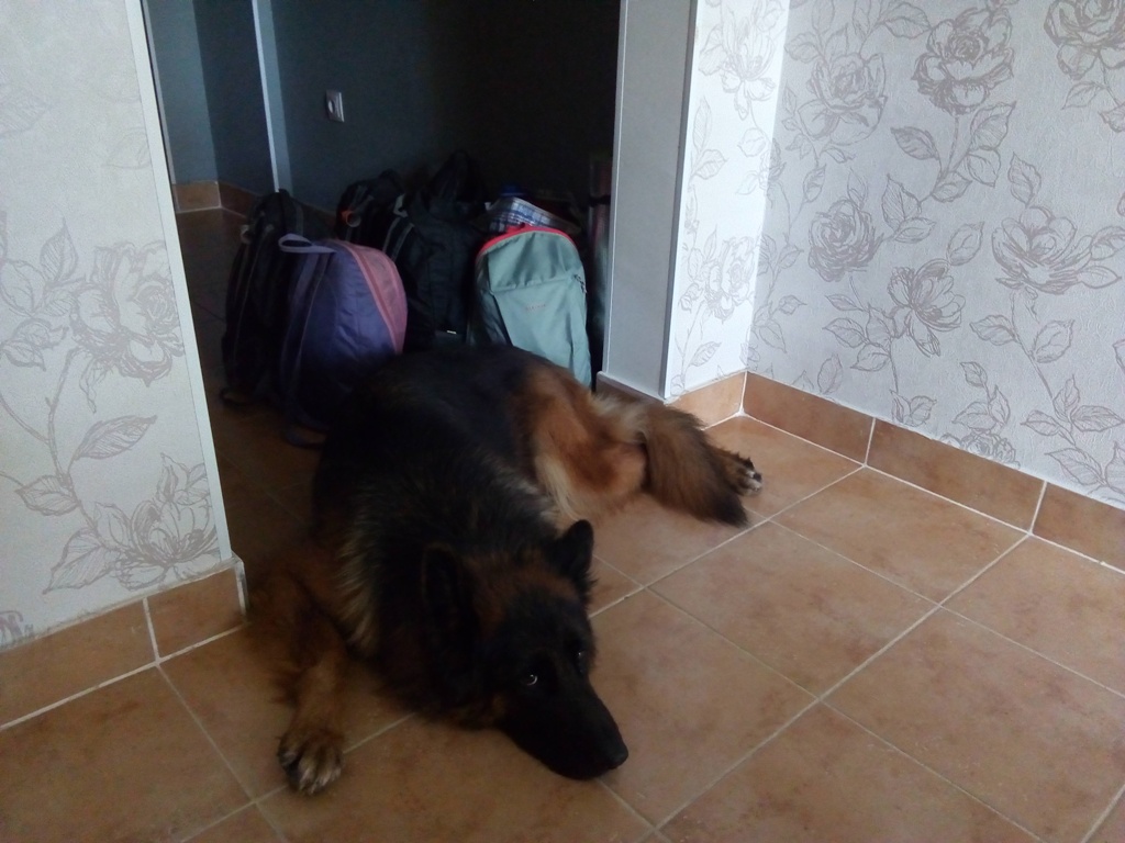 9.09. go to home 1_0.jpg